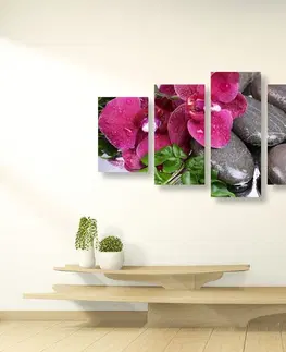 Obrazy Feng Shui 5-dílný obraz kvetoucí orchidej a wellness kameny