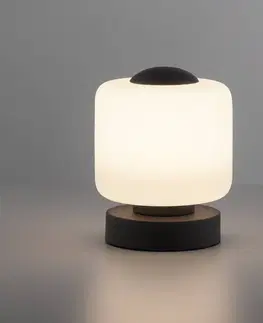 Stolní lampy Paul Neuhaus LED stolní lampa Bota, stmívatelná, antracit