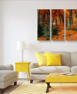Obrazy přírody a krajiny 5-dílný obraz les v podzimním období