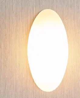 Nástěnná svítidla Lucande Skleněné nástěnné světlo Jemima, eliptický tvar