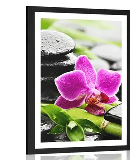 Feng Shui Plakát s paspartou wellness zátiší s fialovou orchidejí