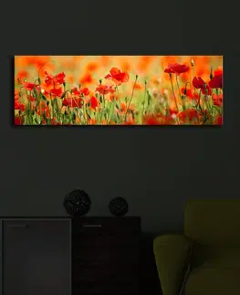 Obrazy Hanah Home Obraz s led osvětlením Sean 90x30 cm