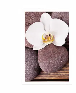 Feng Shui Plakát wellness kameny a orchidej na dřevěném pozadí