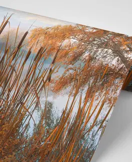 Samolepící tapety Samolepící fototapeta jezero uprostřed podzimní přírody