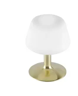 LED stolní lampy PAUL NEUHAUS LED stolní lampa v matné mosazi a stínítkem z opálového skla, teplá bílá barva vč. Dotykového stmívání 3000K PN 4078-60