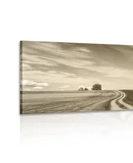 Černobílé obrazy Obraz čarokrásná krajina v sépiové provedení