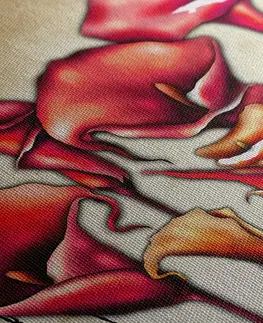 Abstraktní obrazy Obraz červené květy kaly