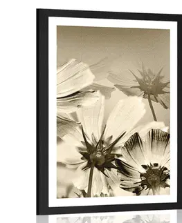 Černobílé Plakát s paspartou zahradní květiny v sépiovém provedení