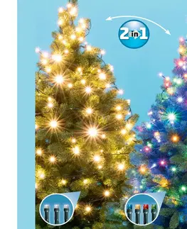 Vánoční dekorace  LED Vánoční venkovní řetěz 100xLED/5 funkcí 10m IP44 teplá bílá/multicolor 