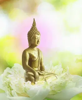 Samolepící tapety Samolepící tapeta harmonie buddhismu