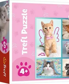 Hračky puzzle TREFL - Puzzle 60 - Roztomilé kočky / Trefl