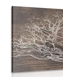Obrazy stromy a listy Obraz koruna stromu na dřevěném podkladu