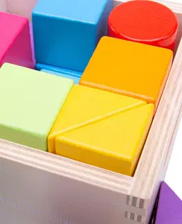Dřevěné hračky Bigjigs Toys Dřevěné kostky PRVNÍ SET 17 ks vícebarevné