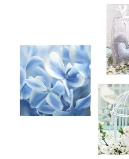Sestavy obrazů Set obrazů vojtěšky s modrou květinou