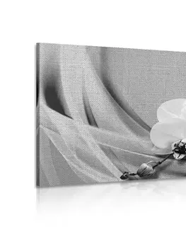Černobílé obrazy Obraz orchidej na plátně v černobílém provedení