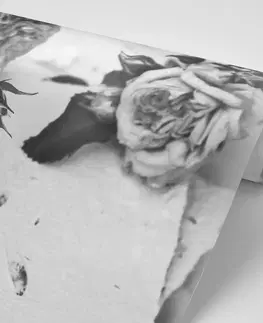 Černobílé tapety Fototapeta černobílé růže v rozkvětu