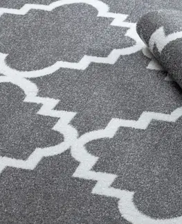 Koberce a koberečky Dywany Lusczow Kusový koberec SKETCH Danny šedý /bílý trellis, velikost 200x290