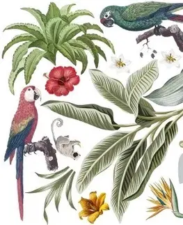 Zvířátka Nálepka na zeď s tropickými listy a zvířaty