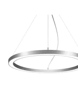 Závěsná světla BRUMBERG BRUMBERG Biro Circle Ring5 direct Ø 75 cm DALI stříbrná 3000 K