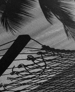 Černobílé obrazy Obraz houpací síť na pláži v černobílém provedení