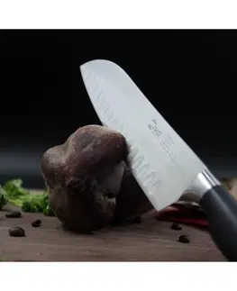Kuchyňské nože Santoku nůž IVO Premier 18 cm 90322.18