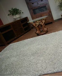 Koberce a koberečky Dywany Lusczow Kusový koberec SHAGGY Izebelie 5cm šedý, velikost 100x500