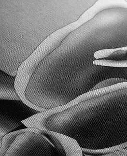 Černobílé obrazy Obraz elegantní květy kaly v černobílém provedení