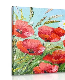 Obrazy květů Obraz malované polní máky