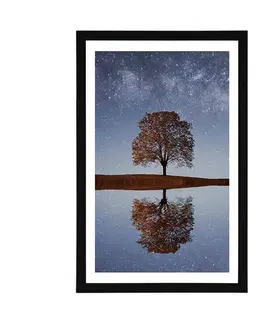 Příroda Plakát s paspartou hvězdná obloha nad osamělým stromem