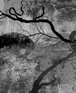Černobílé obrazy Obraz surrealistické stromy v černobílém provedení