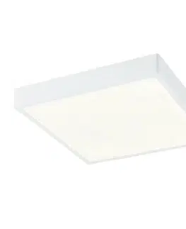 LED stropní svítidla GLOBO ALENA 12365-30 Stropní svítidlo