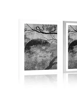 Černobílé Plakát s paspartou surrealistické stromy v černobílém provedení