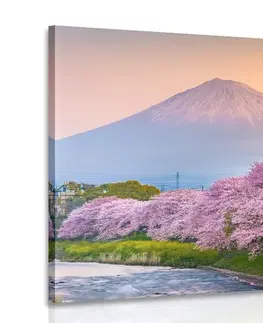 Obrazy přírody a krajiny Obraz japonska sopka Fuji