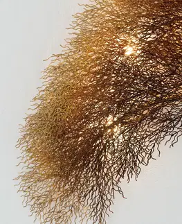 Nástěnná svítidla Holländer Nástěnné světlo Acacia design stromu, stmívatelné