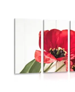 Obrazy květů 5-dílný obraz červené tulipány v rozkvětu