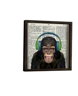 Obrazy Wallity Nástěnný obraz Monkey 34x34 cm III