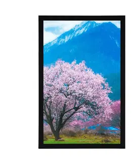Příroda Plakát kouzelný japonský strom
