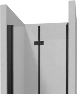 Sprchové kouty DEANTE/S Sprchové dveře skládací se stěnovým profilem 100 KTSXN43P+KTS_N00X KERRIA/0133