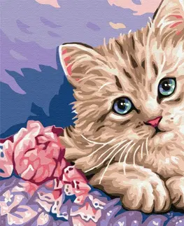 Zvířata Malování podle čísel kočka s modrými očima