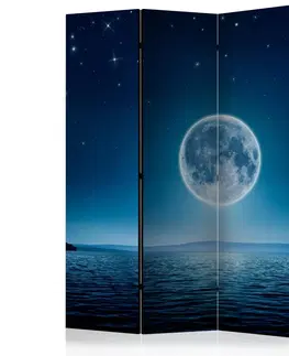 Paravány Paraván Moonlit night Dekorhome 135x172 cm (3-dílný)