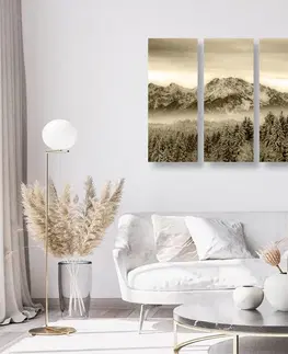 Černobílé obrazy 5-dílný obraz zamrzlé hory v sépiové provedení