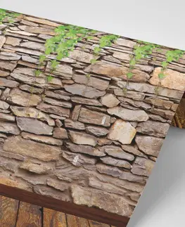 Tapety příroda Tapeta stěna pokrytá listy
