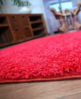 Koberce a koberečky Dywany Lusczow Kusový koberec SHAGGY Izebelie 5cm bordó, velikost 300x500