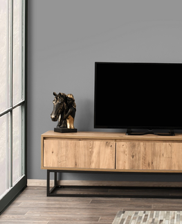 TV stolky TV stolek DANKAN 180 cm, černá/borovice