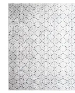 Moderní koberce Světle šedý moderní koberec s jednoduchým vzorem Šířka: 140 cm | Délka: 200 cm