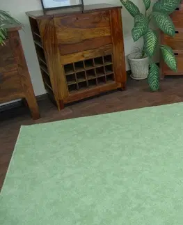 Koberce a koberečky Dywany Lusczow Kusový koberec SERENADE Hagy zelený, velikost 100x250