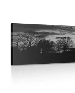 Černobílé obrazy Obraz nádherný západ slunce v černobílém provedení