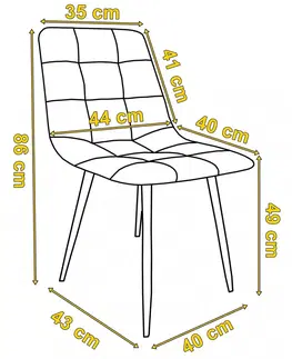Židle TZB Čalouněná židle DENVER samet šedá
