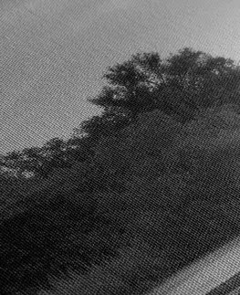 Černobílé obrazy Obraz východ slunce u řeky v černobílém provedení