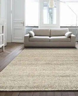 Koberce a koberečky Spoltex Kusový koberec Elegant beige 20474-070, 80 x 150 cm